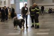 intercanina201934