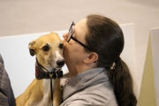 intercanina201944