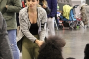 intercanina201959