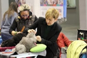 intercanina201960