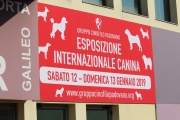 intercanina201962