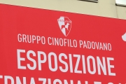 intercanina201963