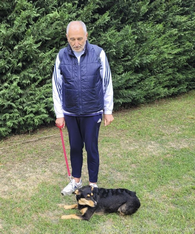 Gruppo Cinofilo Padovano - Patentino Cae-1 Giugno 2022