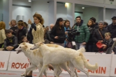 domenica021 domenica021