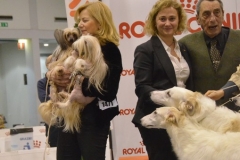 domenica026 domenica026