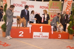 domenica035 domenica035