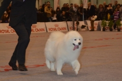 domenica044 domenica044