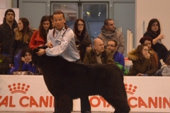 domenica048 domenica048
