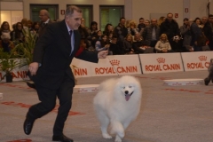 domenica050 domenica050