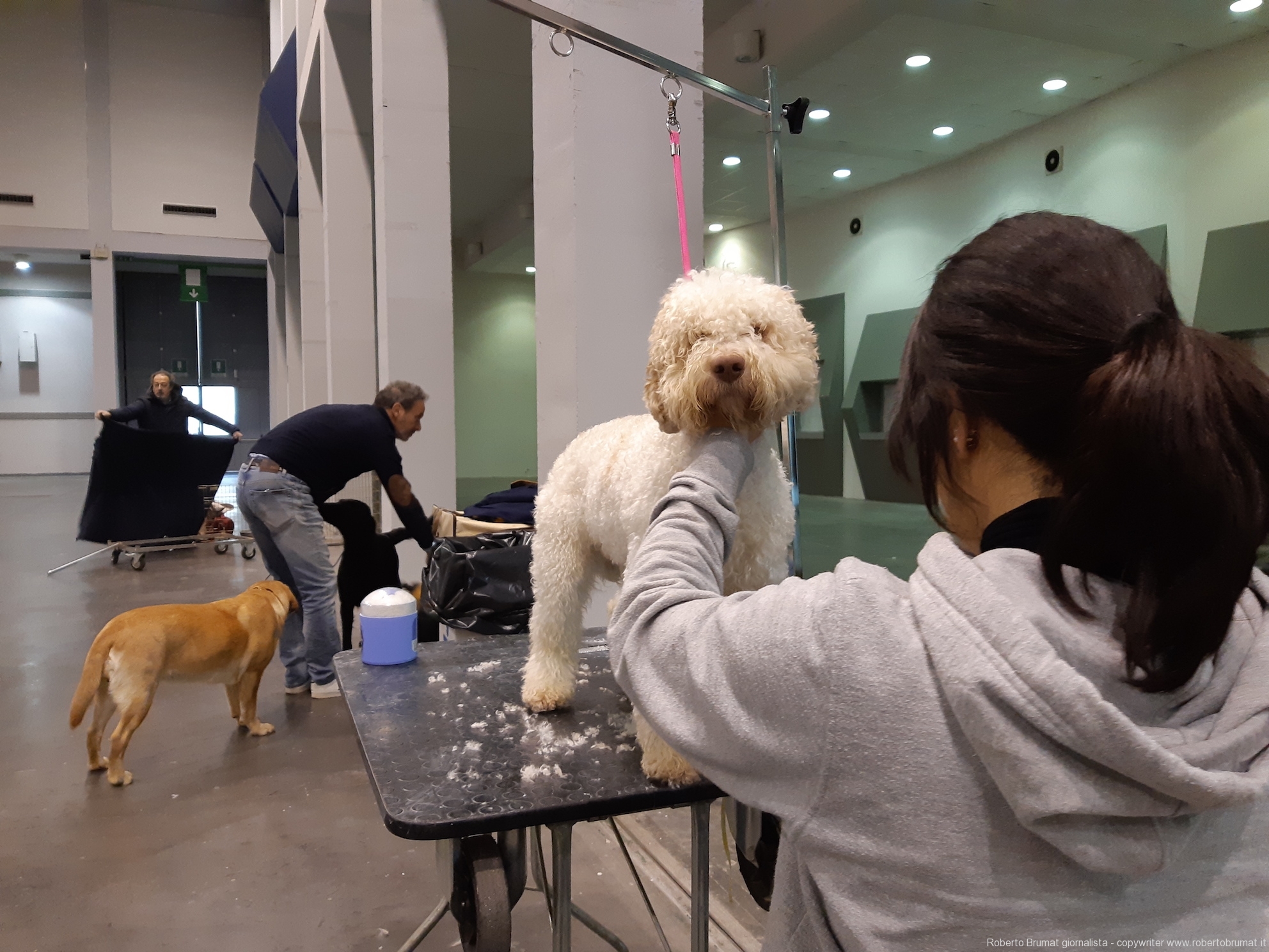 03 Foto by Roberto Brumat - www.robertobrumat.it 03 Foto by Roberto Brumat - www.robertobrumat.it
