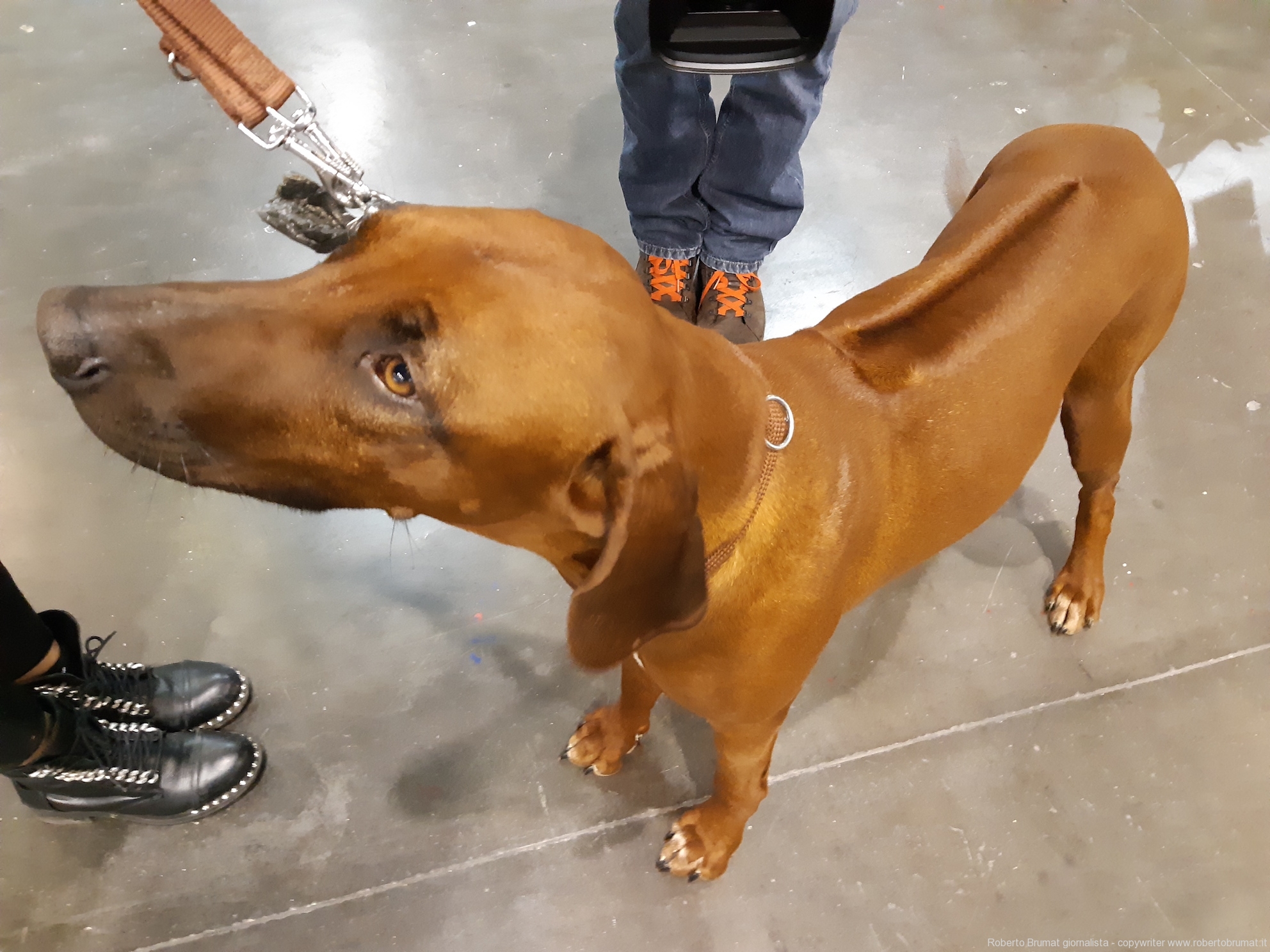 06 Foto by Roberto Brumat - www.robertobrumat.it 06 Foto by Roberto Brumat - www.robertobrumat.it