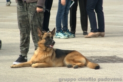 SONY DSC