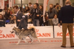 sabato053